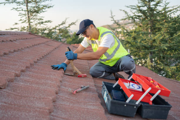 Fast & Reliable Emergency Roof Repairs in Gardnerville, NV